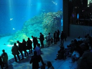 巨大な水槽で泳ぐ魚を見る観客。