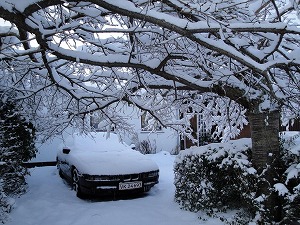 12月中旬に降った雪